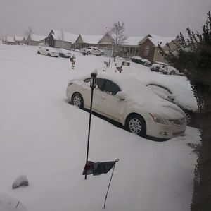 Meet your Posher, Steven